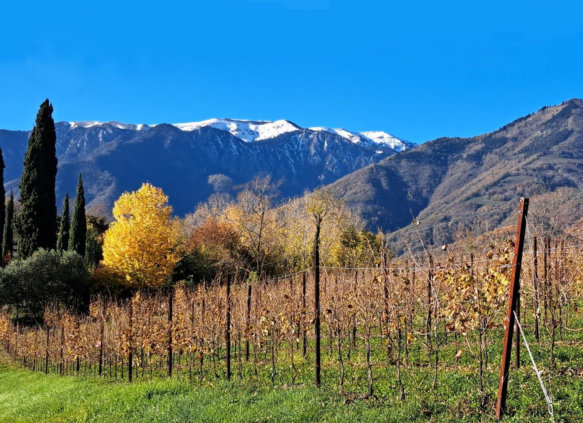 Agriturismo Riva Beata Cavaso Del Tomba Ngoại thất bức ảnh