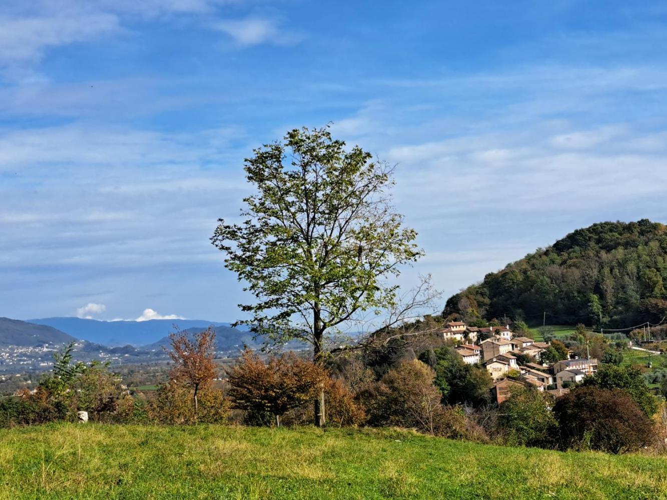 Agriturismo Riva Beata Cavaso Del Tomba Ngoại thất bức ảnh
